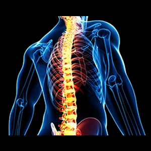 Best Spine fusion surgery